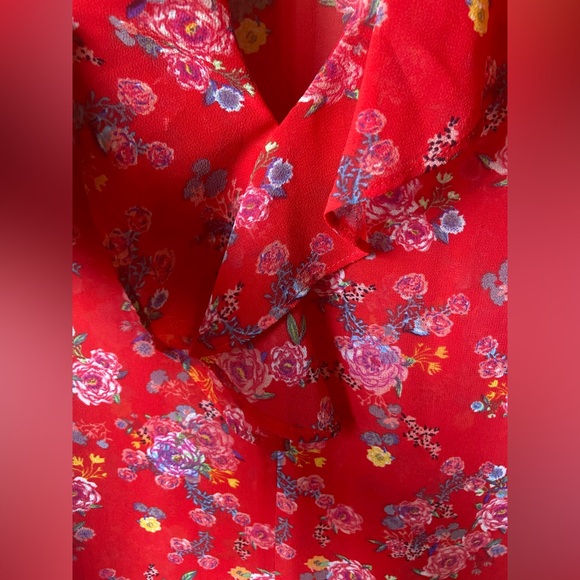 CAbi #5219 Crush Floral Sheer MEDIUM Blouse - Picture 6 of 9